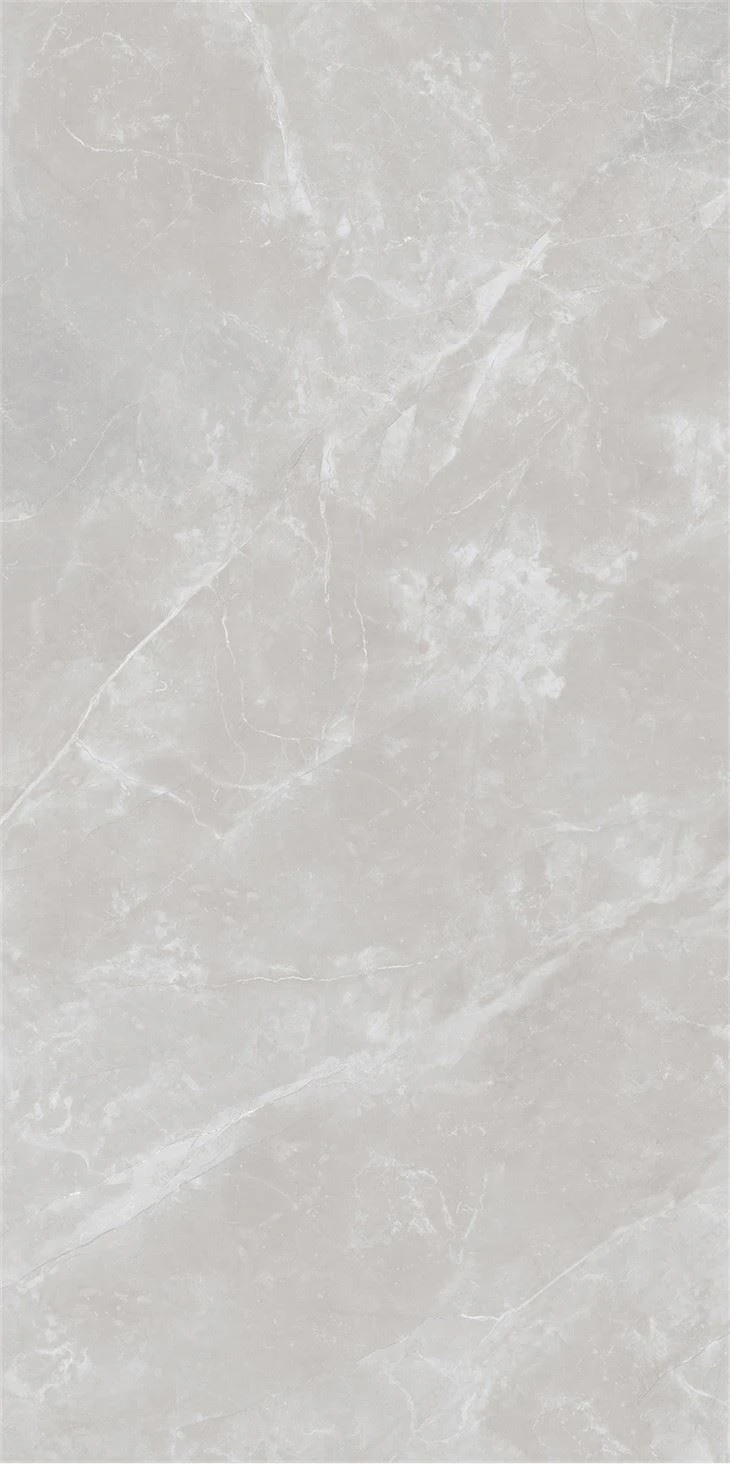 Grey patio porcelain paving slabs interior